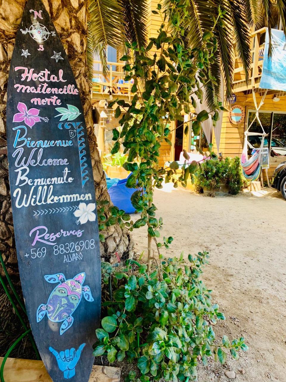 Hostal Maitencillo Norte Dış mekan fotoğraf